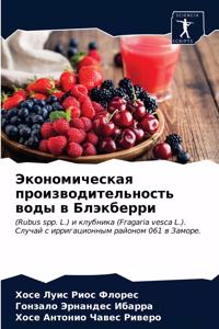 Экономическая производительность воды в