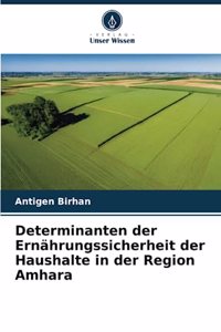 Determinanten der Ernährungssicherheit der Haushalte in der Region Amhara