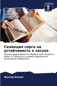 Селекция сорго на устойчивость к засухе