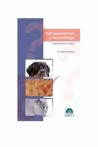 Self-assessment in Dermatology