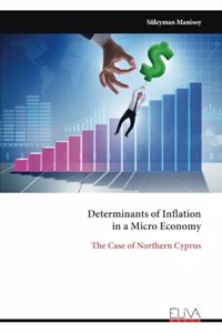 Determinants of Inflation in a Micro Economy