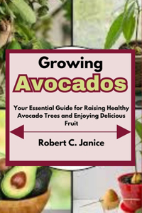 Growing Avocados