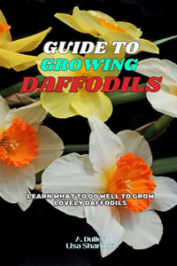 Guide to Growing Daffodils