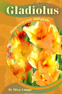 Gladiolus