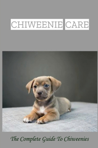 Chiweenie Care