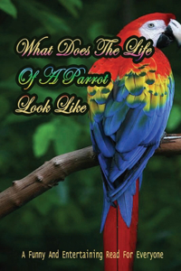 What Does The Life Of A Parrot Look Like