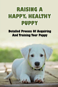 Raising A Happy, Healthy Puppy