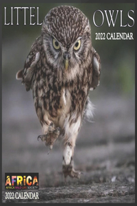 Little Owls CALENDAR 2022