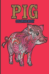 Pig Coloring Book