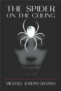Spider on the Ceiling