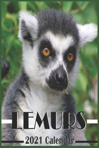 Lemurs 2021 Calendar