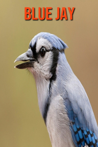 Blue Jay