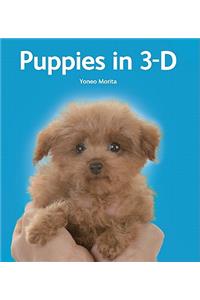 Puppies in 3-D