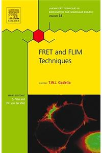 FRET and FLIM Techniques