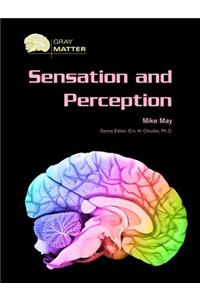 Sensation and Perception