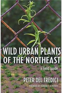 Wild Urban Plants of the Northeast