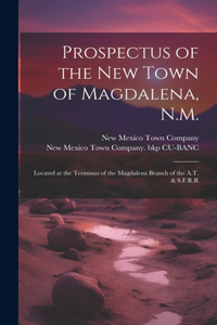 Prospectus of the new Town of Magdalena, N.M.