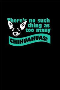 There's no such thing as too many Chihuahuas