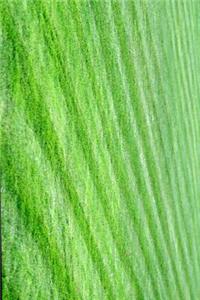 Lines on a Freshly Mowed Grass Lawn Journal