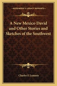 A New Mexico David and Other Stories and Sketches of the Southwest