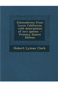 Echinoderms from Lower California, with Descriptions of New Species - Primary Source Edition