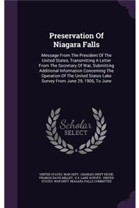 Preservation Of Niagara Falls