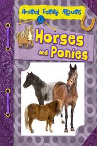 Horses and Ponies