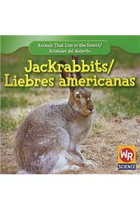 Jackrabbits / Liebres Americanas