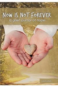Now Is Not Forever