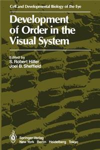 Development of Order in the Visual System