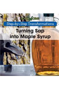 Turning SAP Into Maple Syrup