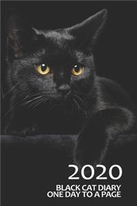 Black Cat Diary