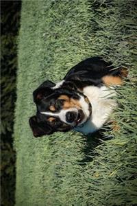 The Appenzeller Sennenhund Dog Journal