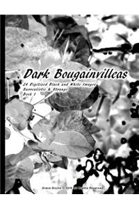 Dark Bougainvilleas 24 Digitized Black and White Images Surrealistic & Strange Book 1