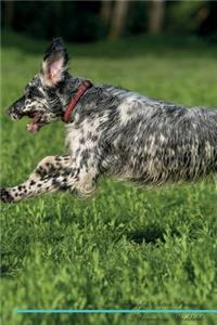 English Setter Affirmations Workbook English Setter Presents