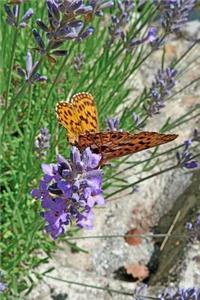 Mother of Pearl Butterfly Journal
