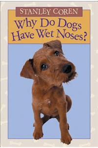 Why Do Dogs Have Wet Noses?