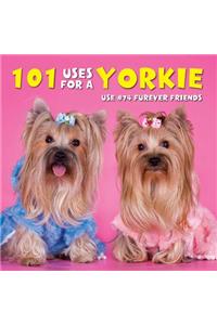 101 Uses for a Yorkie