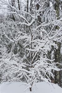 2020 Daily Planner Winter Beautiful Forest 388 Pages