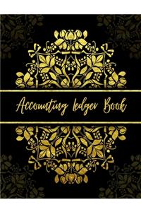 Accounting Ledger Book