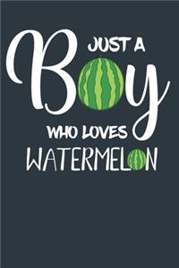 Just A Boy Who Loves Watermelon