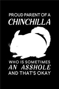 Proud Parent of a Chinchilla Who is Sometimes an Asshole and That's Okay