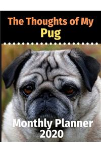 The Thoughts of My Pug