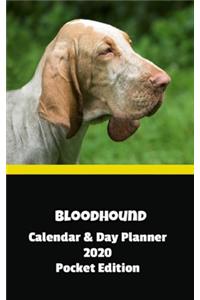 Bloodhound Calendar & Day Planner 2020 Pocket Edition
