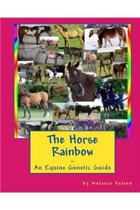 Horse Rainbow