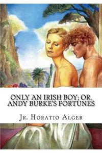 Only an Irish Boy; Or, Andy Burke's Fortunes