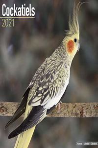 Cockatiels 2021 Wall Calendar