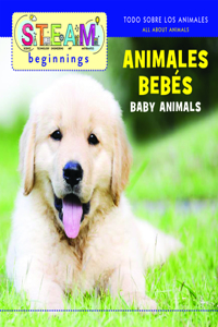 Baby Animals/Animales de Bebe