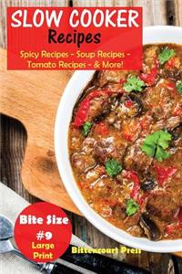 Slow Cooker Recipes - Bite Size #9