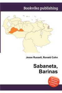 Sabaneta, Barinas